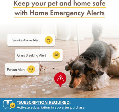 360° Cat Camera: See Your Cat from Anywhere | Rotating 360° Cat Tracking, Treat Toss, Color HD Night Vision, 2-Way Audio, Real-Time Notifications, Designed for Cats | Pet Camera w/Phone App