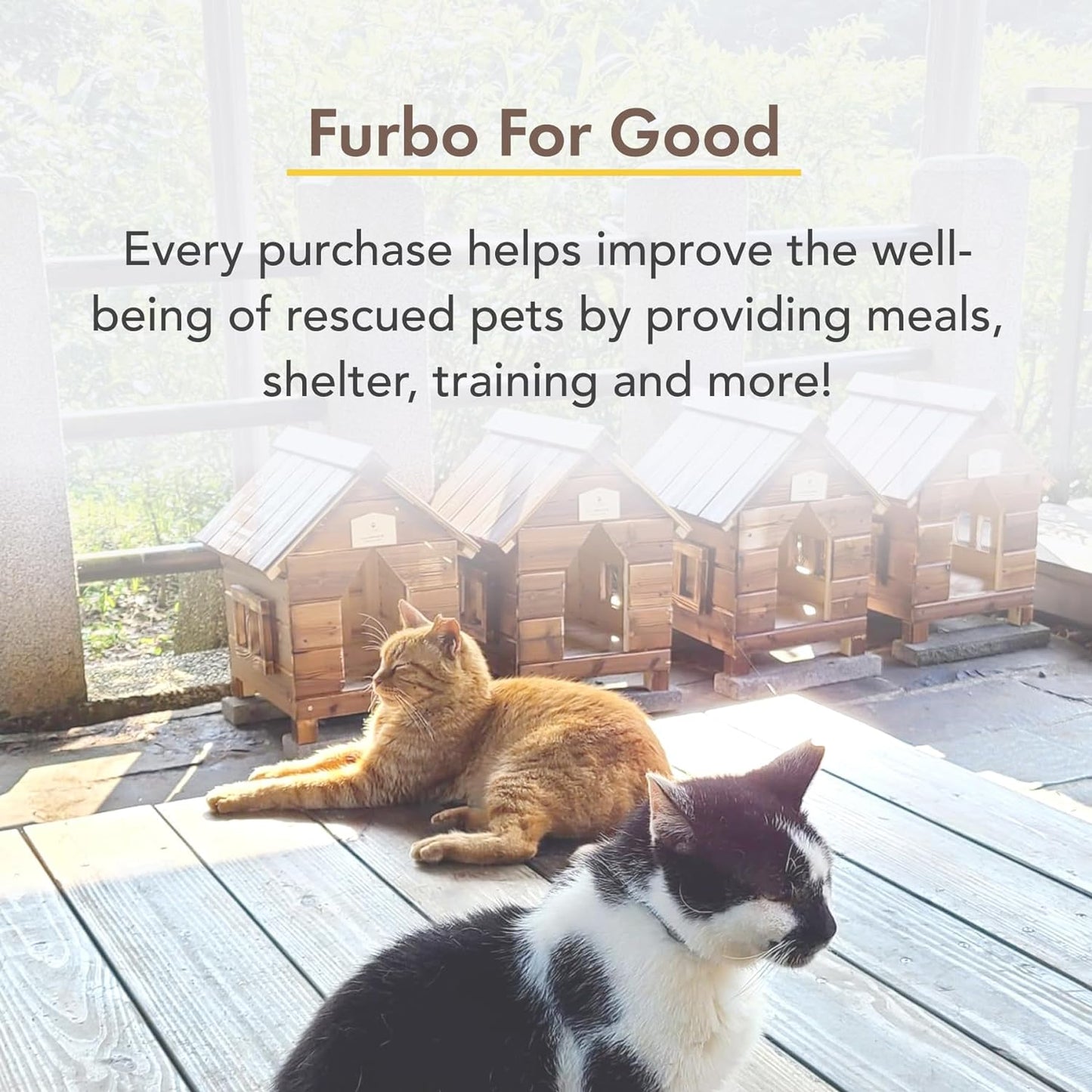 360° Cat Camera: See Your Cat from Anywhere | Rotating 360° Cat Tracking, Treat Toss, Color HD Night Vision, 2-Way Audio, Real-Time Notifications, Designed for Cats | Pet Camera w/Phone App